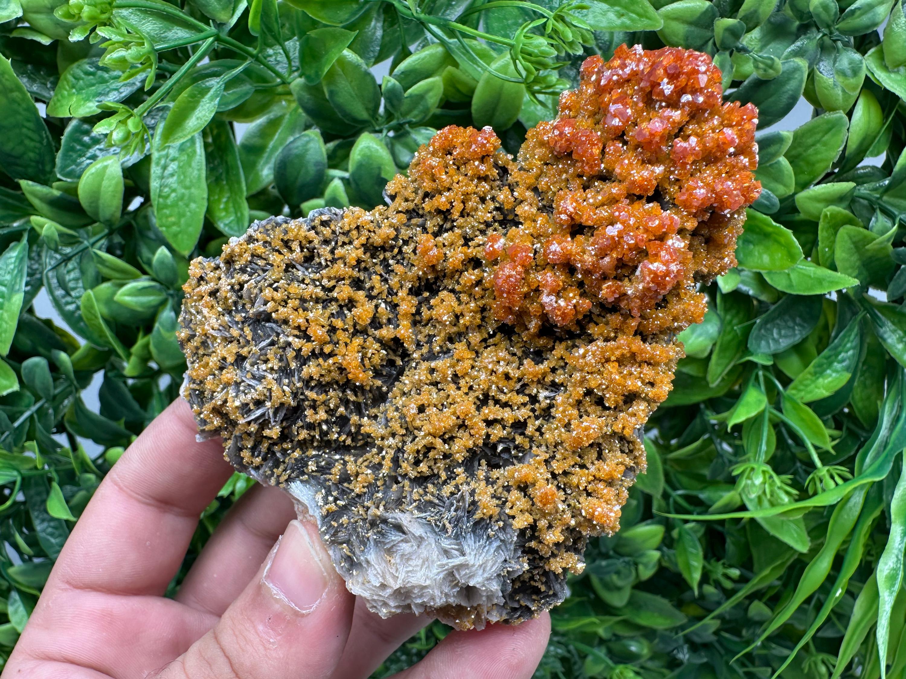 VERY Rare red Vanadinite on Barite whit Goethite from Marocco,crystal minerals Speciment cluster Vanadinite crystal Vanadinite Geology Vanad