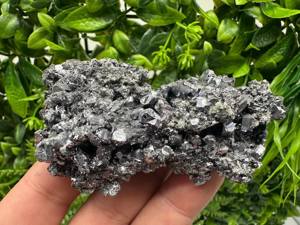 Galena Spinel Law on Sphalerite, Madan Bulgaria Mineral Specimen