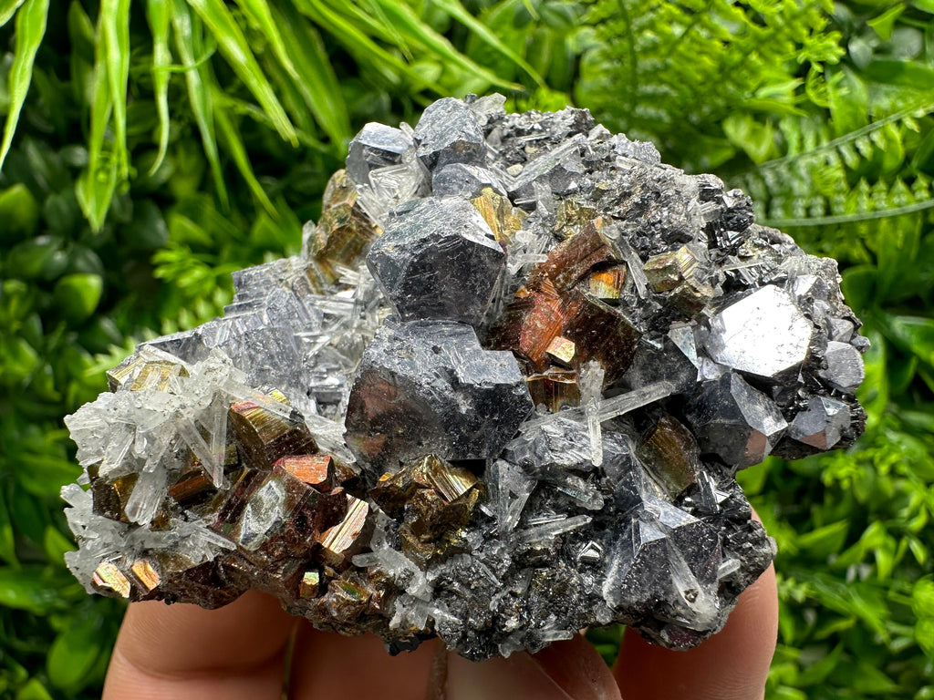 Red Pyrite, Galena, Sphalerite & Quartz Crystal Cluster - Borieva Mine