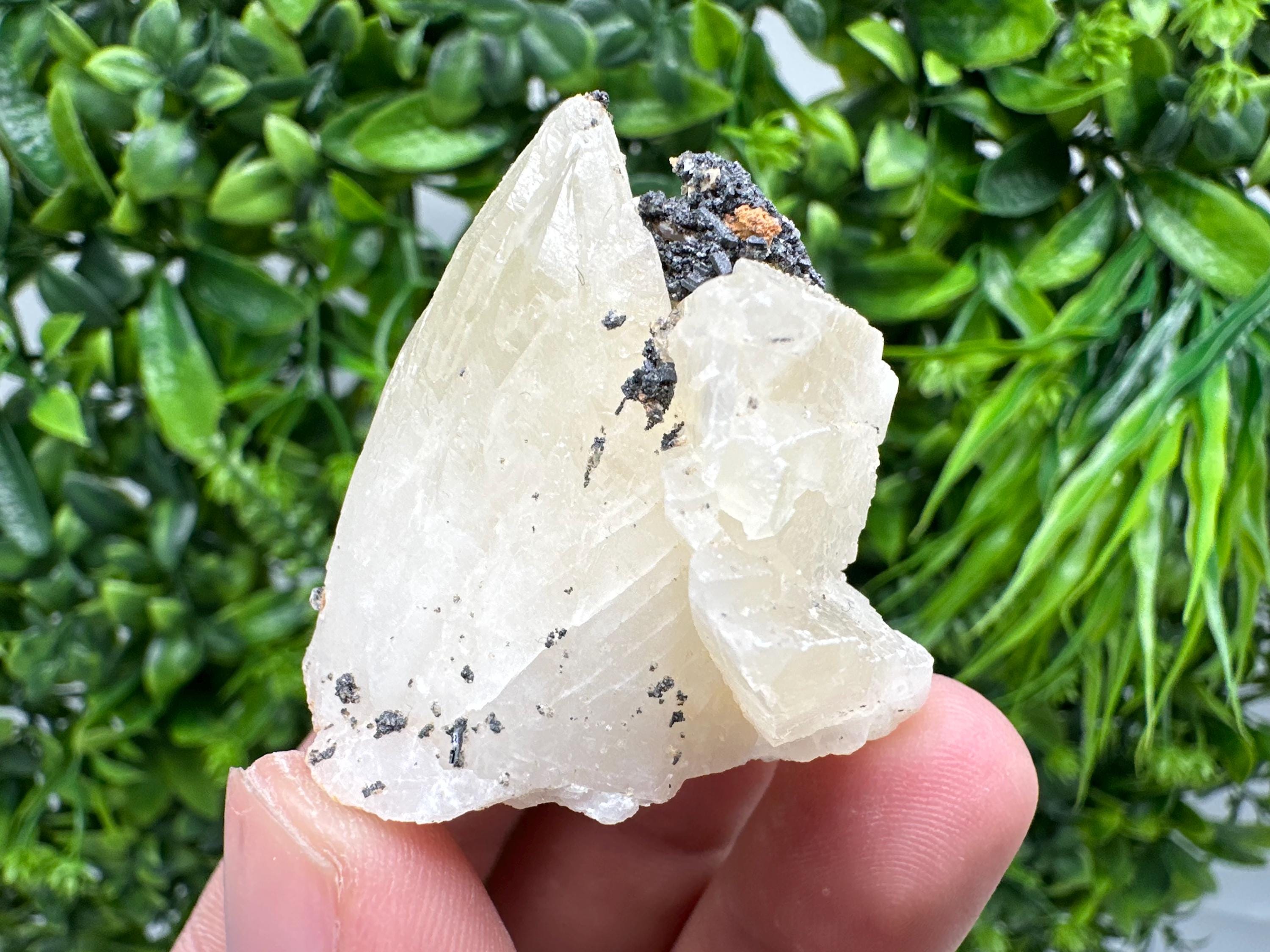 Calcite on Aragonite: Djurcovo Mine, Bulgaria Crystal