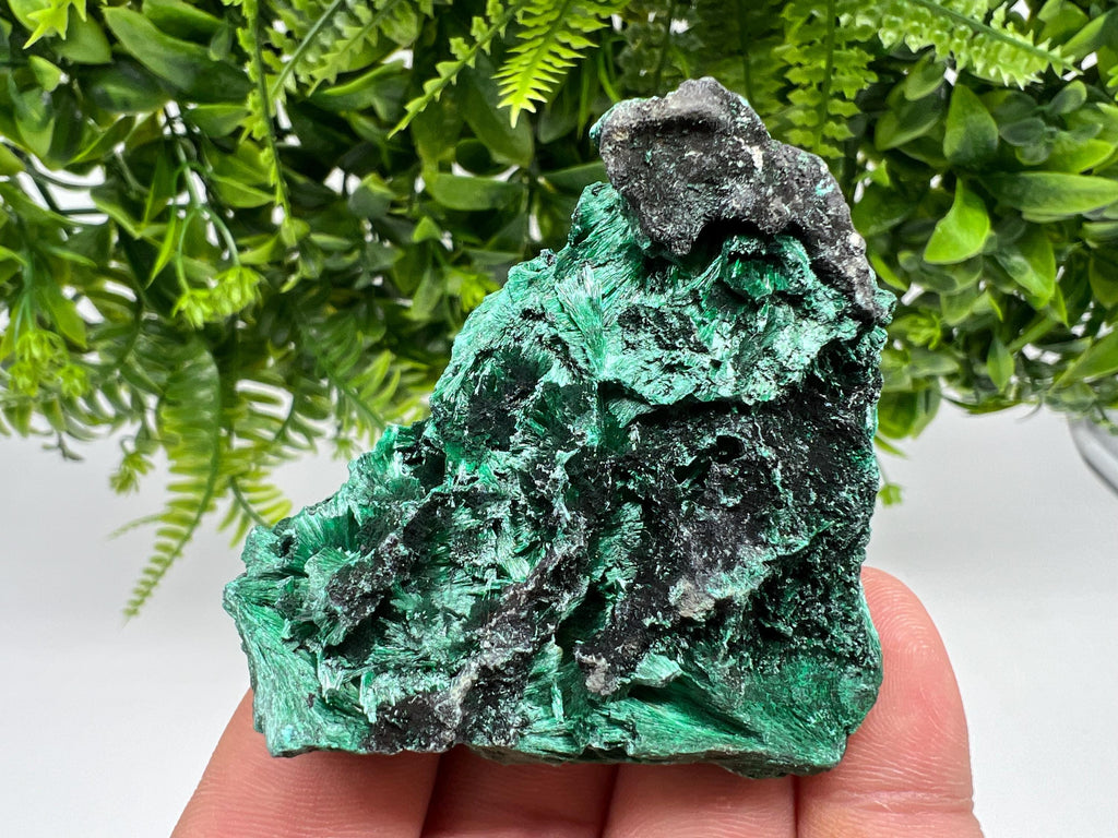 Polished Green Malachite Crystal Specimen from Congo