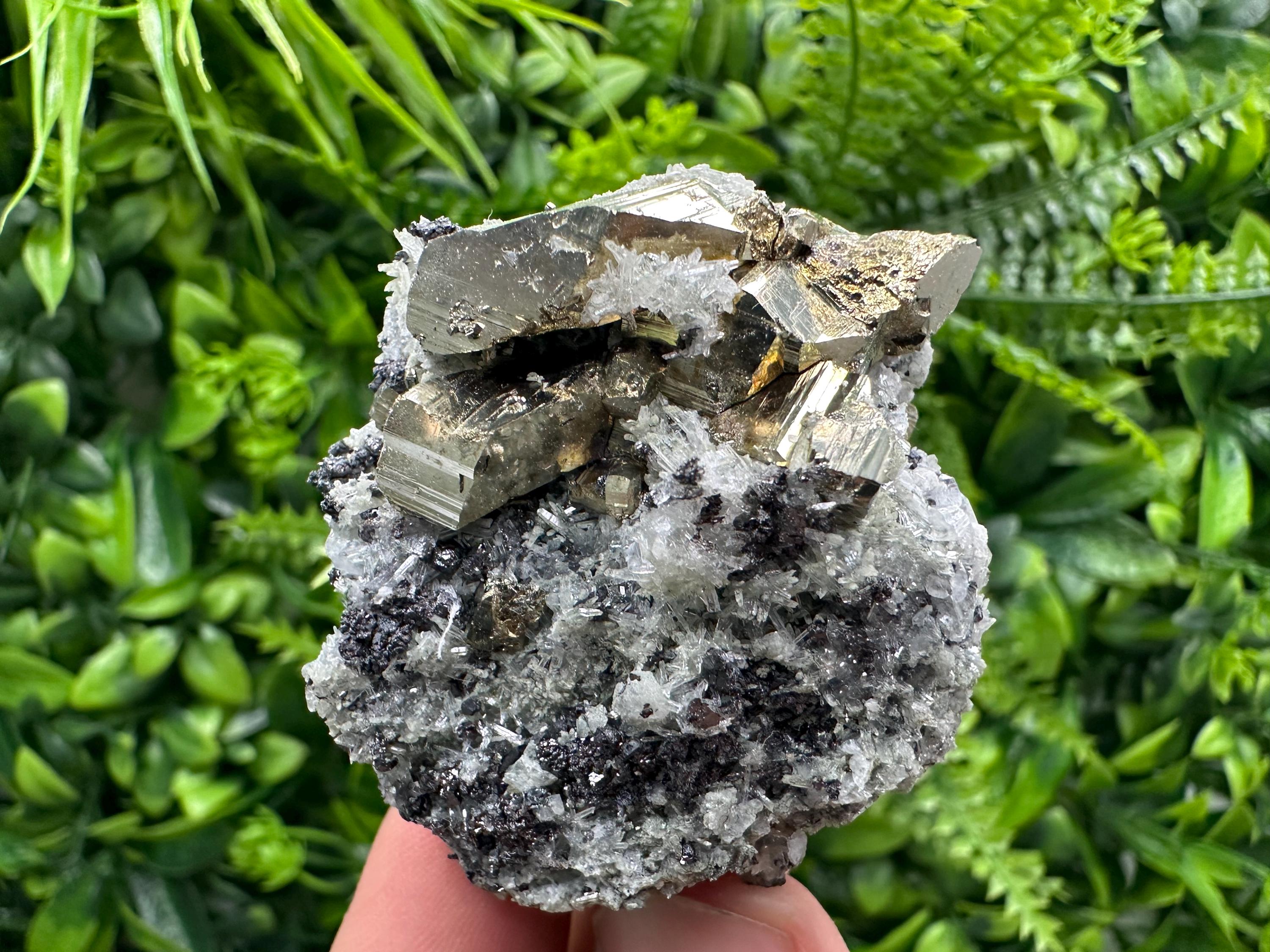 Sphalerite Pyrite on Quartz with Chlorite, Borieva Mine Mineral Specimen