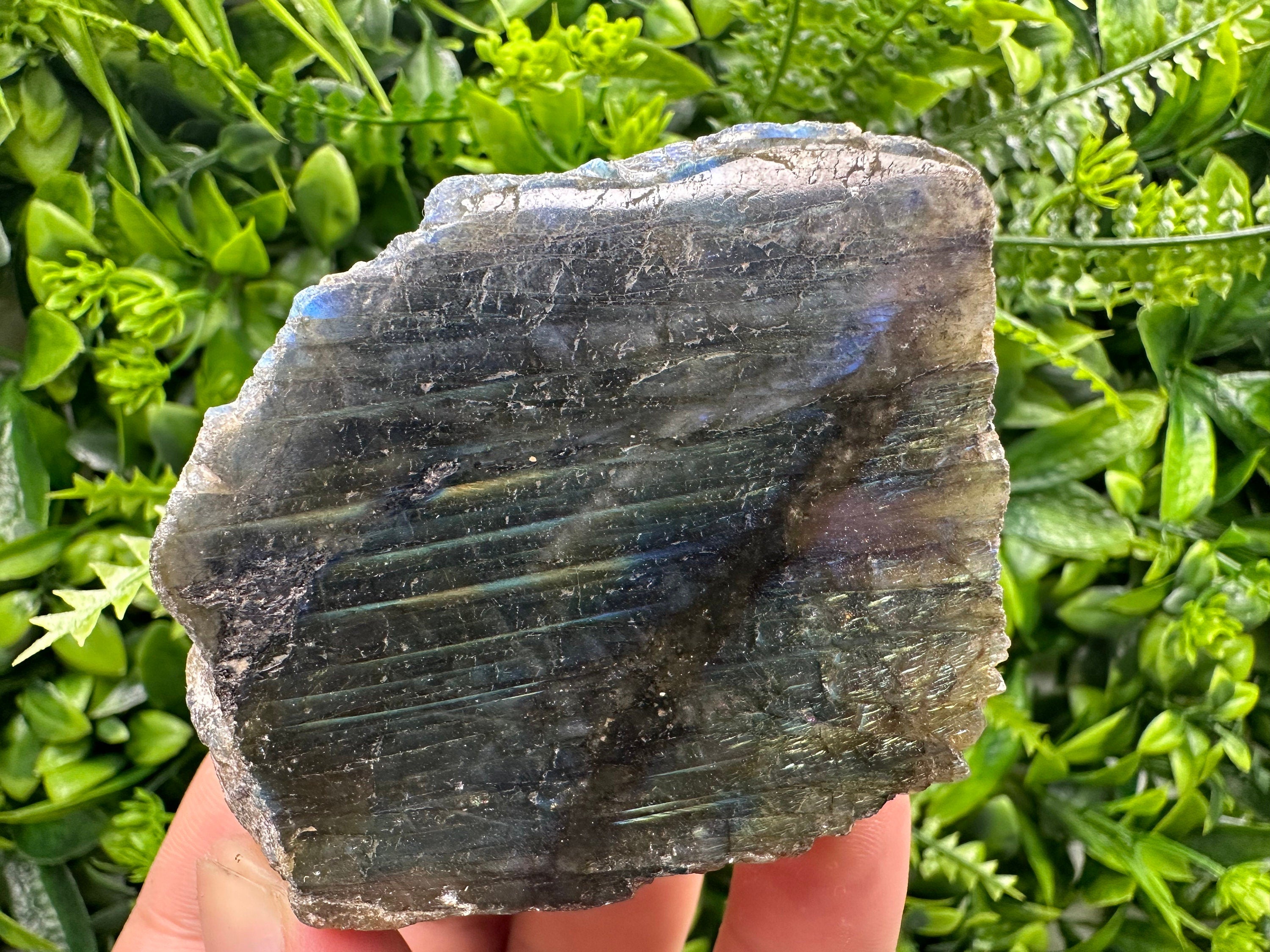Natural Multifire Labradorite Slab: Polished Crystal Decor (7/6/4.5)
