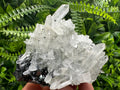 Quartz Cluster with Black Sphalerite, Krushev dol Bulgaria