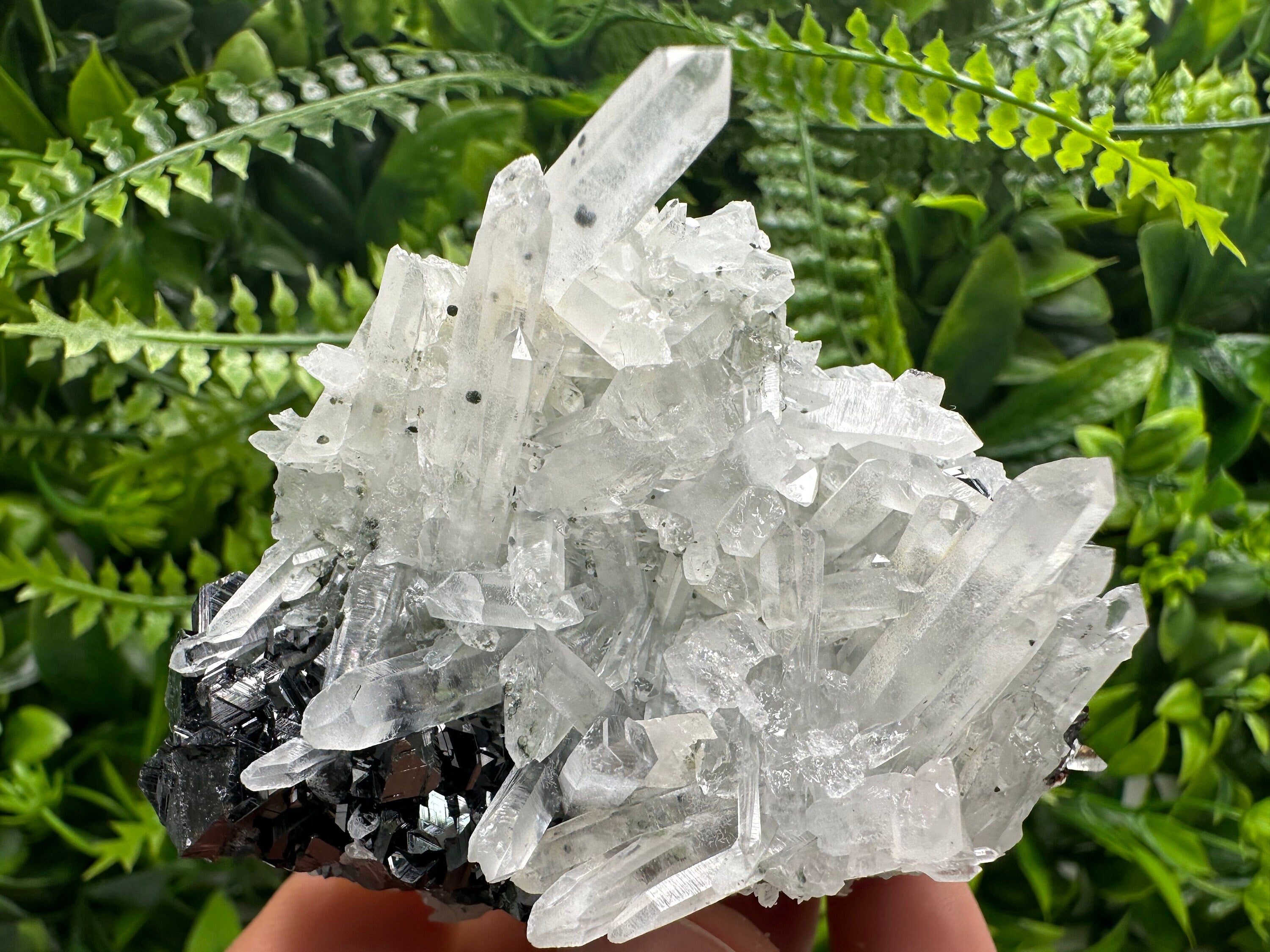Quartz Cluster with Black Sphalerite, Krushev dol Bulgaria