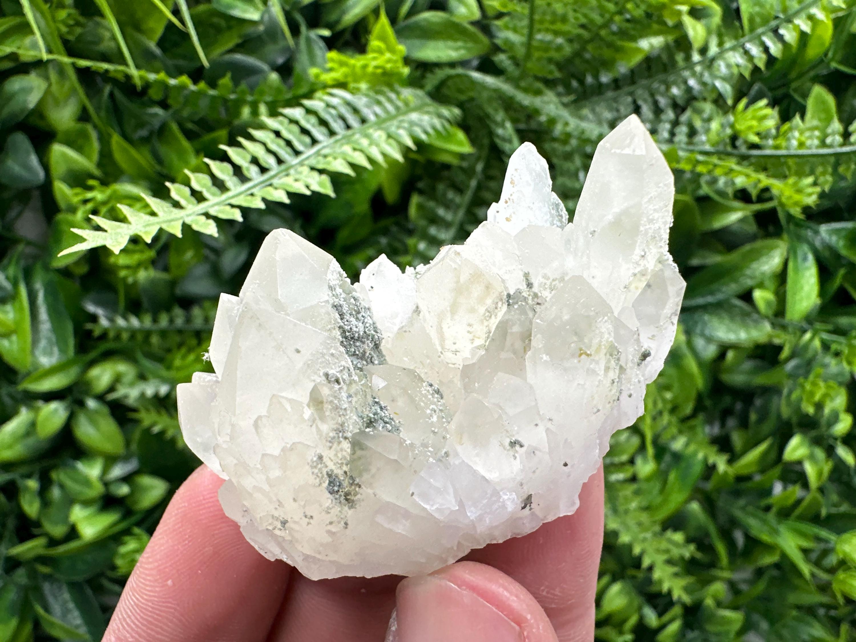 Limonite Quartz with Chlorite Inclusion: Djurcovo Laki Bulgaria Crystal