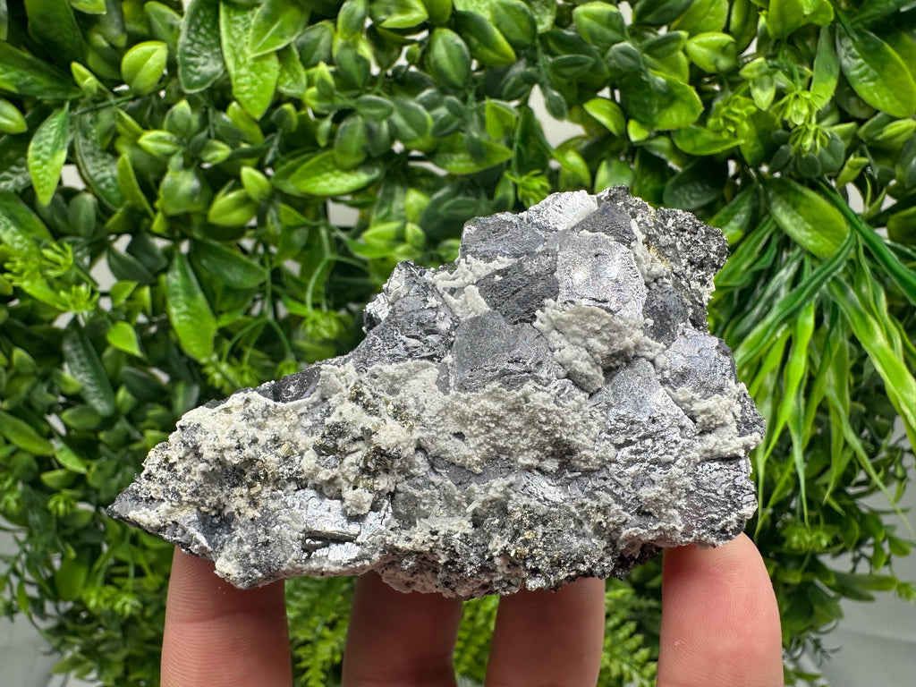Galena with Quartz Specimen: Krushev Dol Mine, Bulgaria