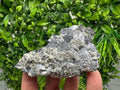 Galena with Quartz Specimen: Krushev Dol Mine, Bulgaria