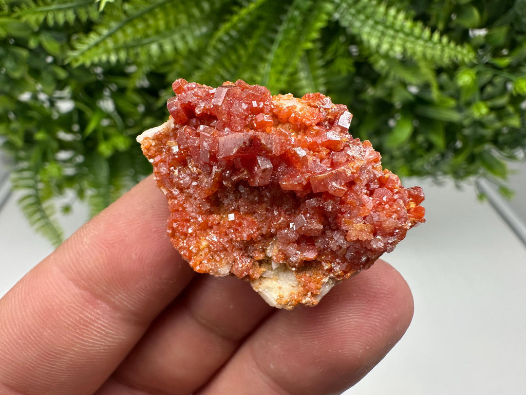 Red Vanadinite on Barite from Marocco,crystal minerals Speciment cluster Vanadinite crystal Vanadinite Geology Vanadinite cluster minerals