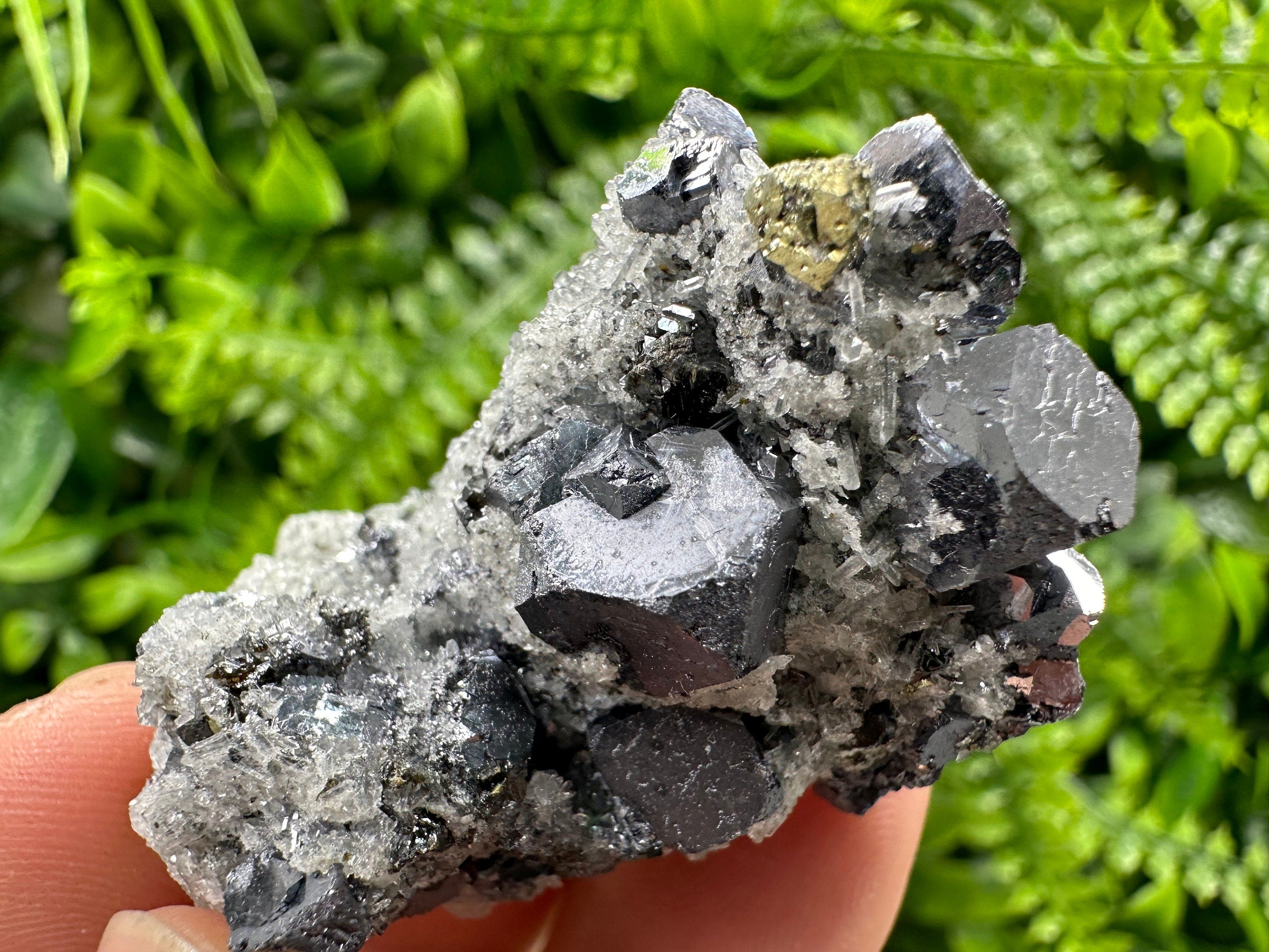 Galena Chalcopyrite on Quartz, Crystal Home Decor, Borieva Mine Bulgaria