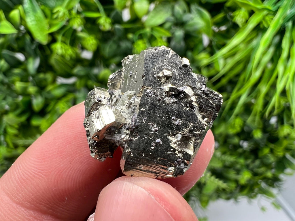 Rainbow Pyrite Cluster: Borieva Mine, Bulgaria - Mini Collection