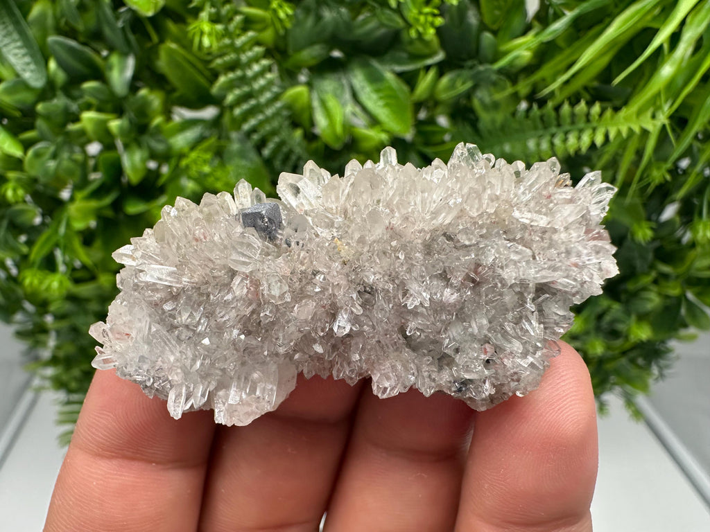 Stunning Quartz whit Hematite,Iron oxide from 9th September mine,natural,collectible mineral specimen,home decor stone,gift,crystal,collecti