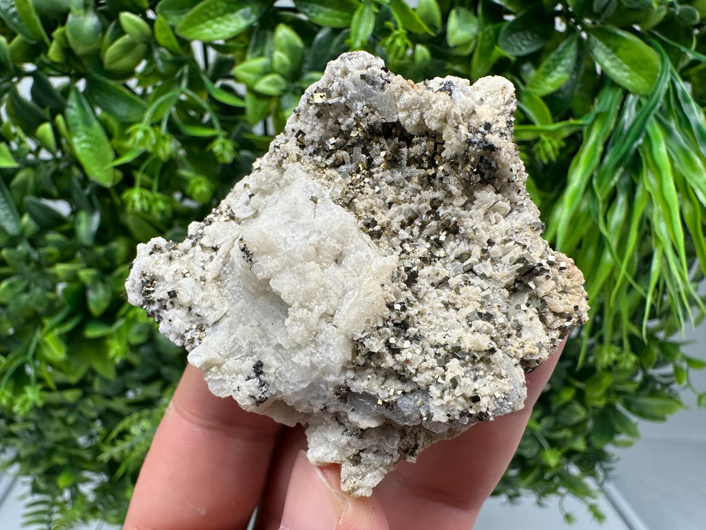Pyrite on Green Quartz, Natural Minerals Specimen, Borieva Mine, Bulgaria