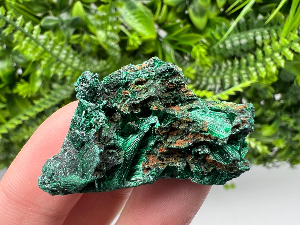 Malachite Crystal from Congo,Minerals,Crystals from Congo,Green Malachite, Malachite,Natural Malachite,Malachite Stone,Chakra, Specimens
