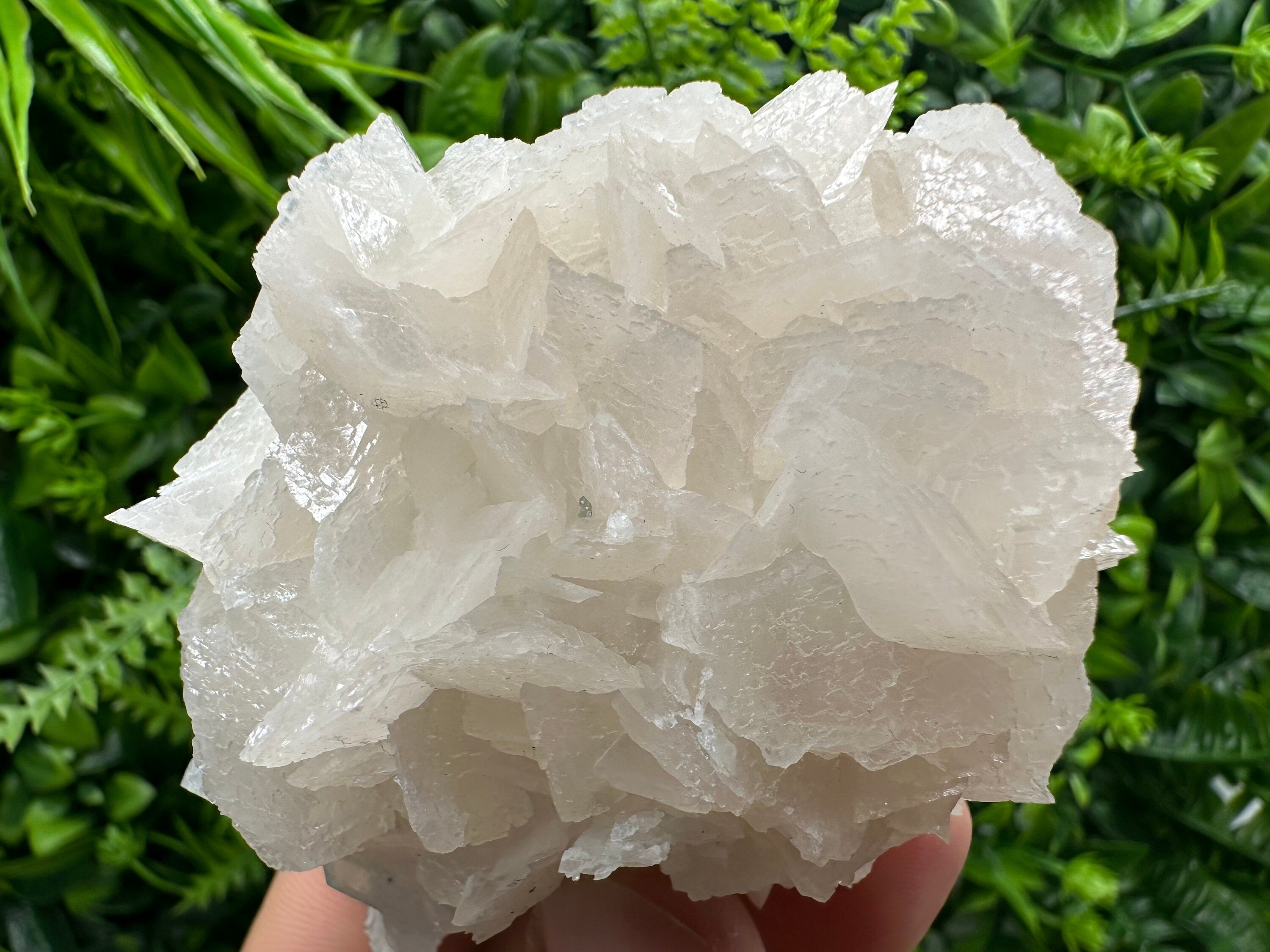 UV Calcite on Chlorite Matrix: Natural Mineral Specimen, Borieva Mine
