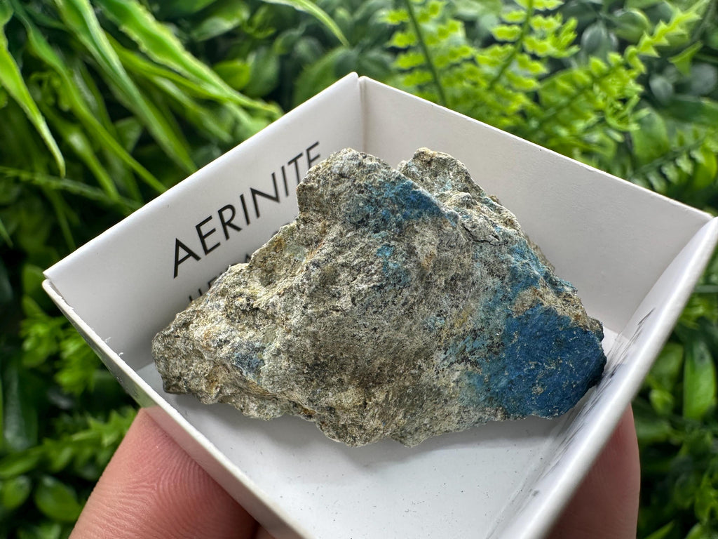 Rare Raw Aerinite Mineral Specimen: Lleida, Spain Crystal