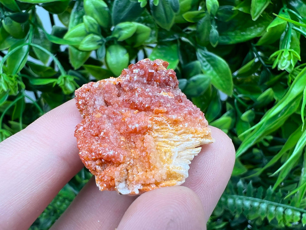 Red Vanadinite on Barite from Marocco,crystal minerals Speciment cluster Vanadinite crystal Vanadinite Geology Vanadinite cluster minerals