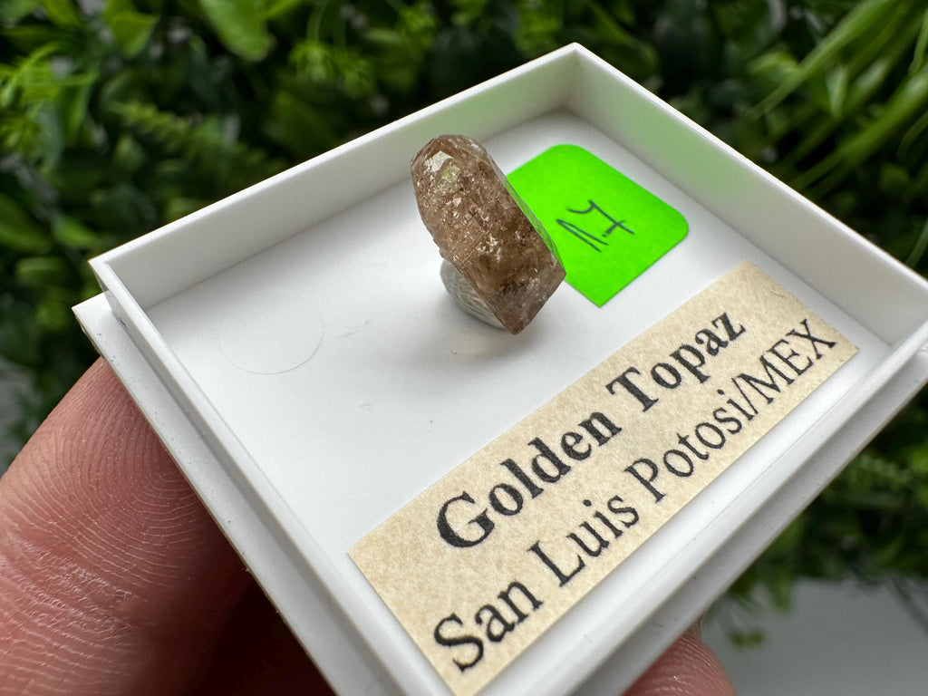 Golden Topaz Crystal, Mineral Specimen from Mexico