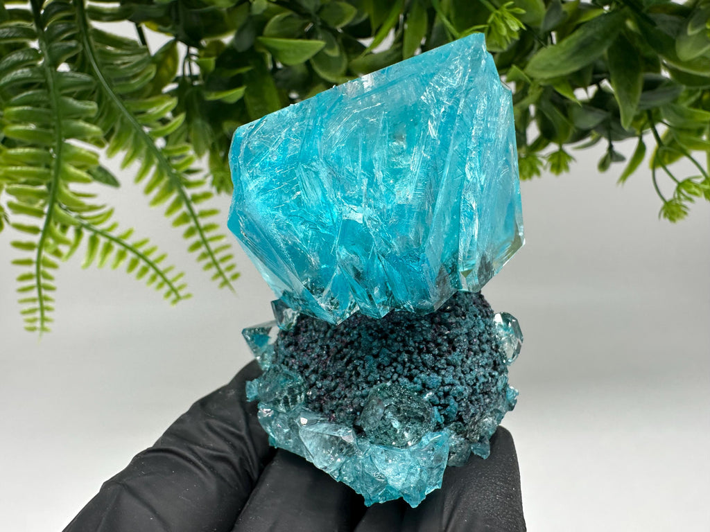 Exceptional Turquoise ALUNITE Aqua Crystal on Matrix UV Active, lab minerals