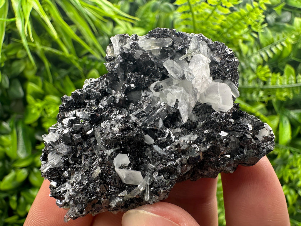 Black Sphalerite Cluster: Natural Mineral Souvenir, Borieva Bulgaria