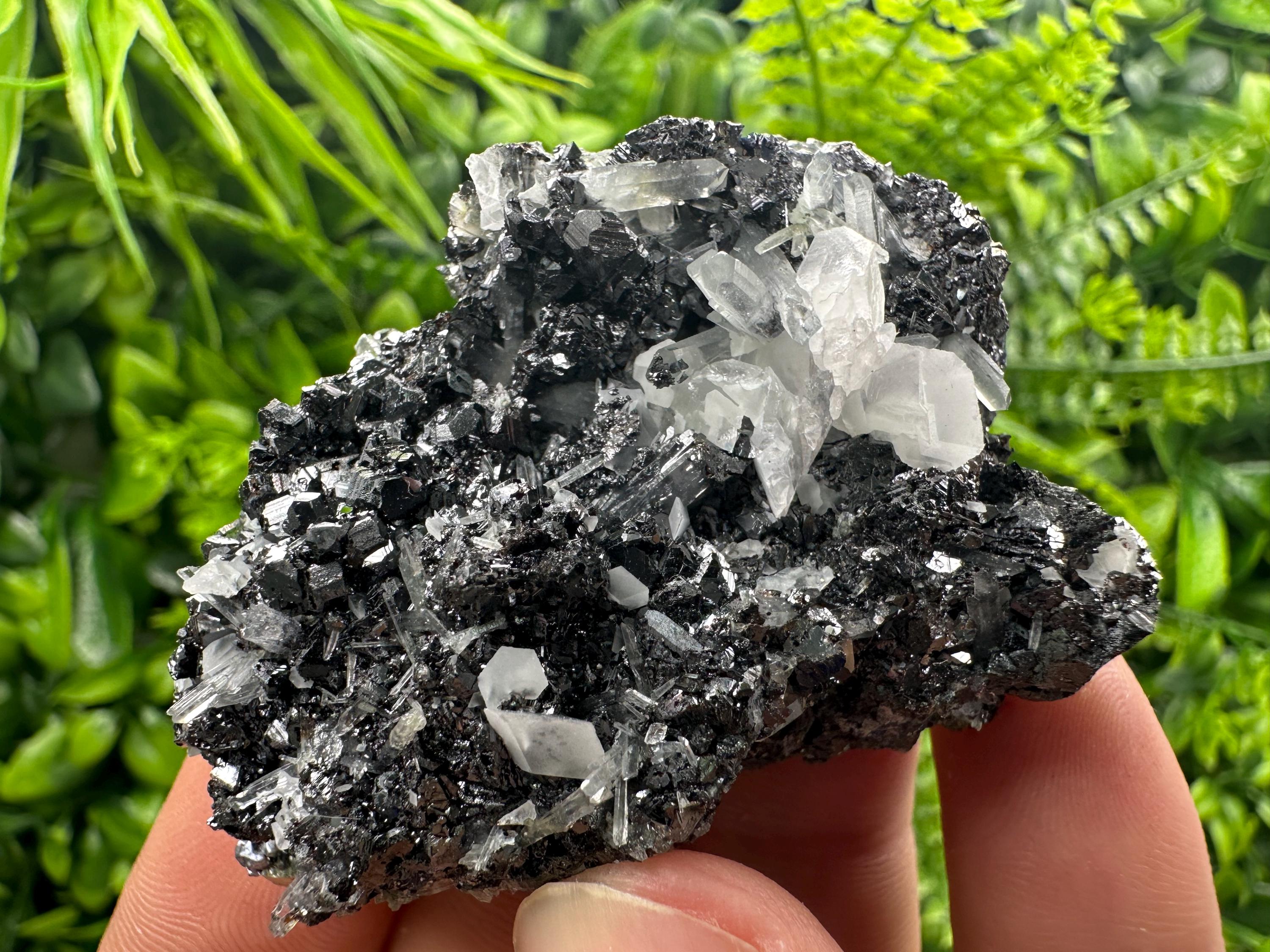 Black Sphalerite Cluster: Natural Mineral Souvenir, Borieva Bulgaria