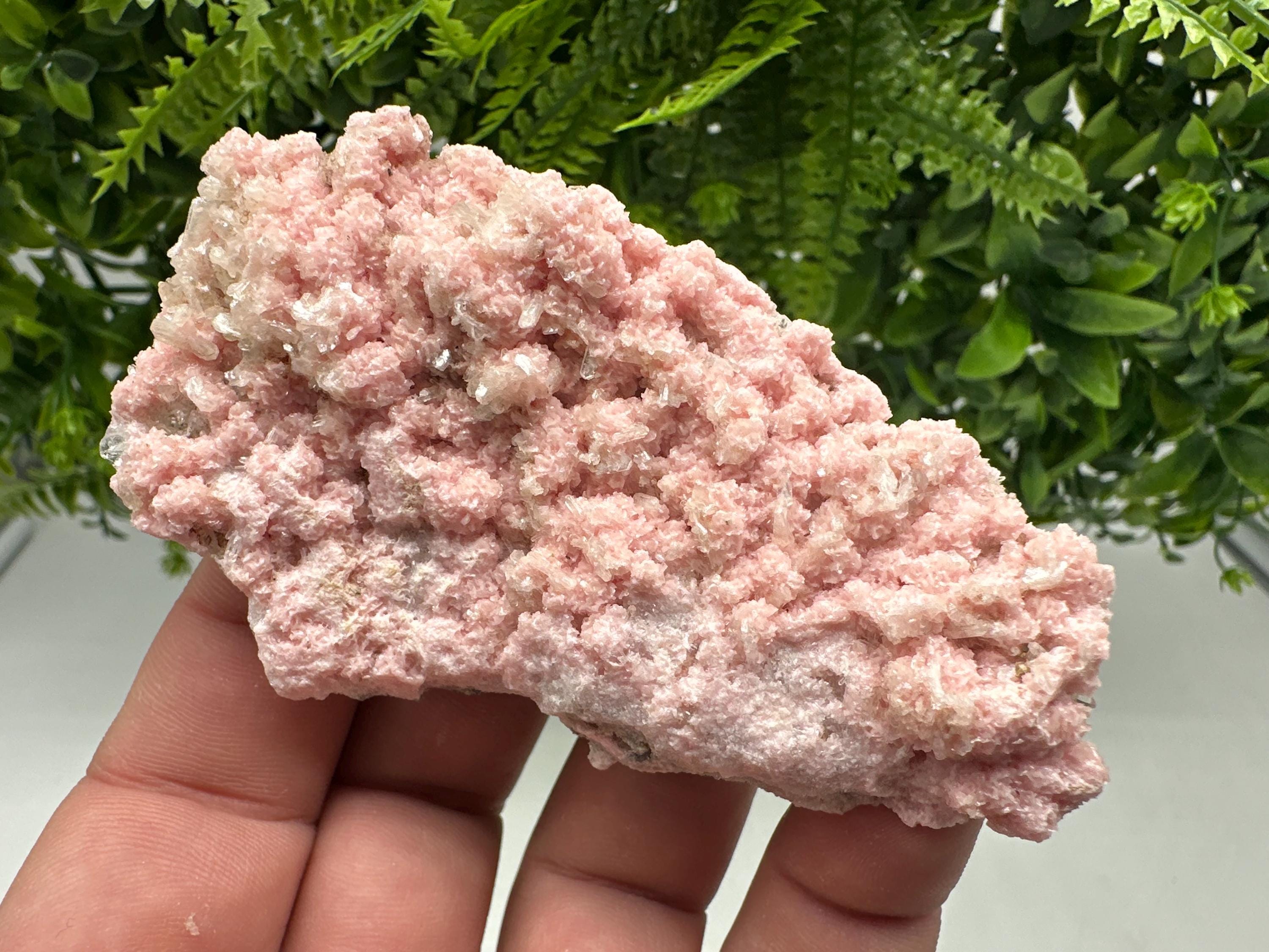 Pink Rhodochrosite Mineral Specimen: Starnica Mine, Bulgaria