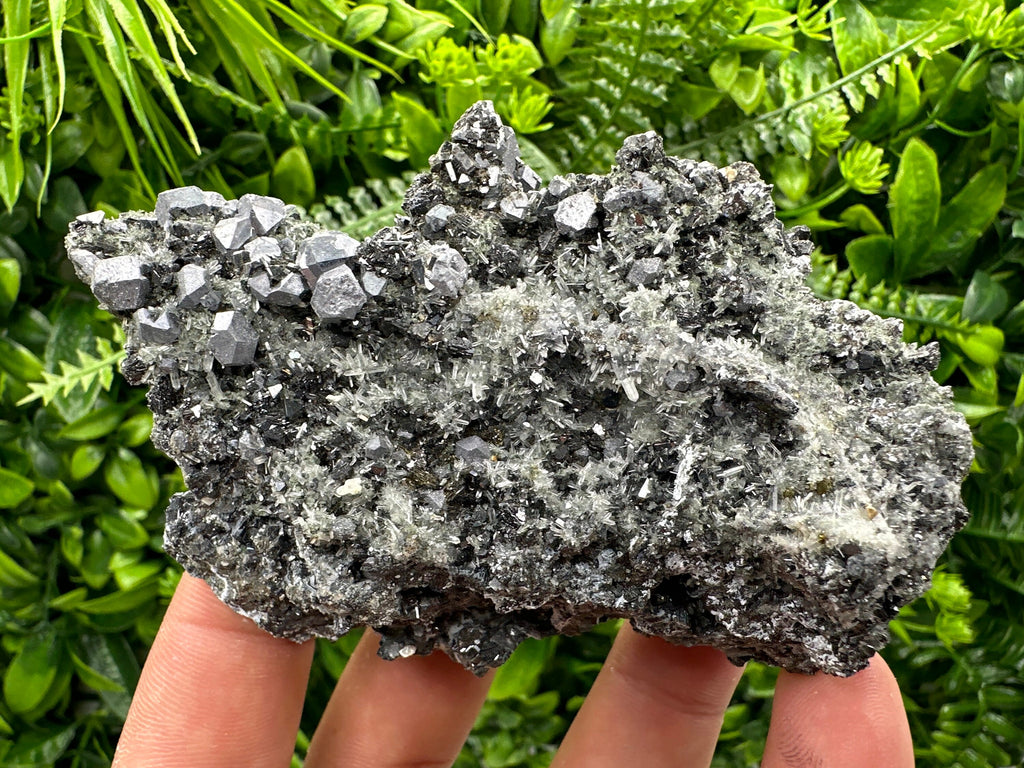 Sphalerite Pyrite on Quartz, Bulgaria Mineral Specimen (10/7/3.5 cm)