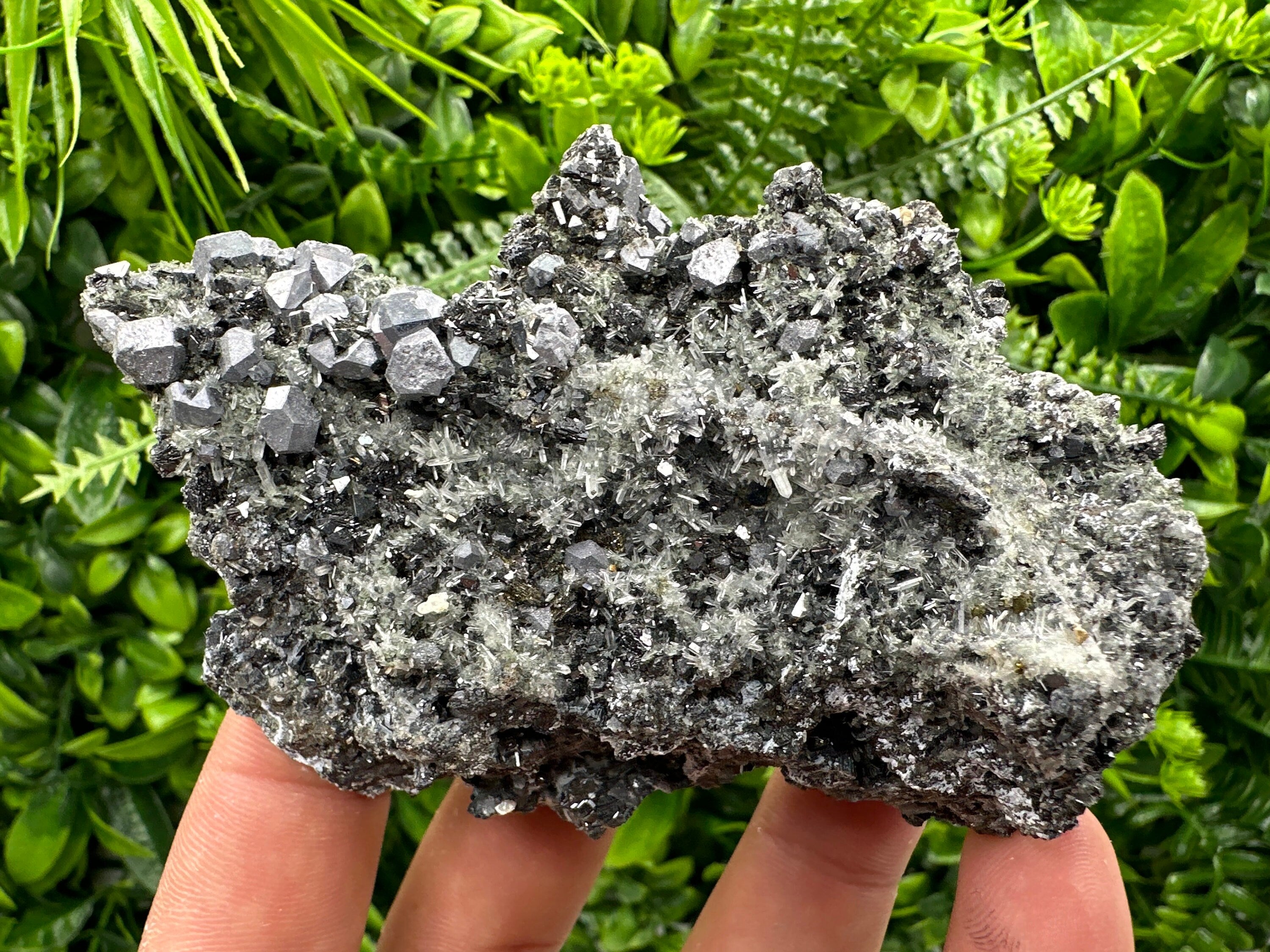 Sphalerite Pyrite on Quartz, Bulgaria Mineral Specimen (10/7/3.5 cm)