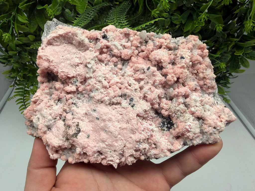 Pink Rhodochrosite Crystal, Starnica Mine, Bulgaria, Mineral Decor