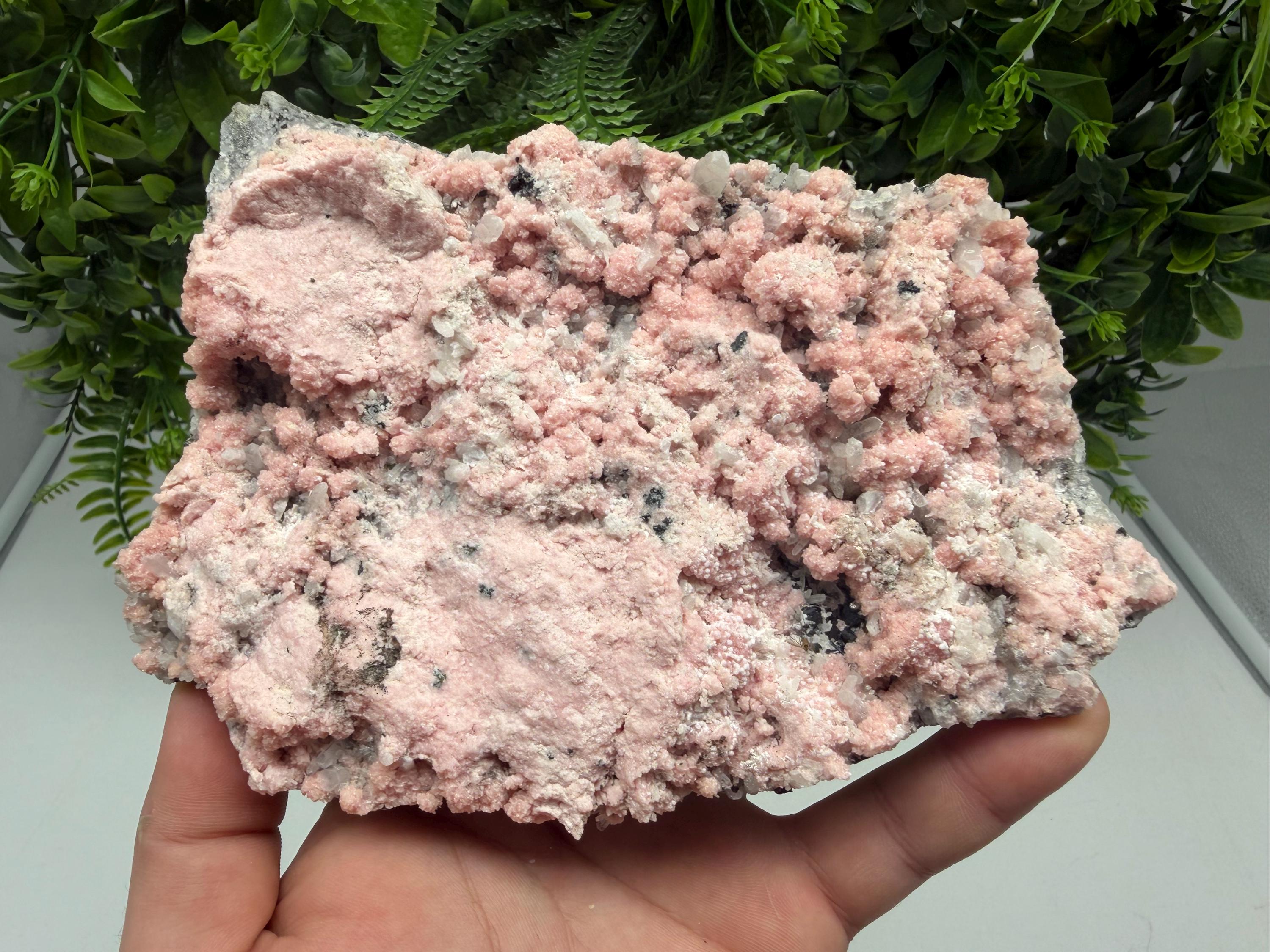 Pink Rhodochrosite Crystal, Starnica Mine, Bulgaria, Mineral Decor