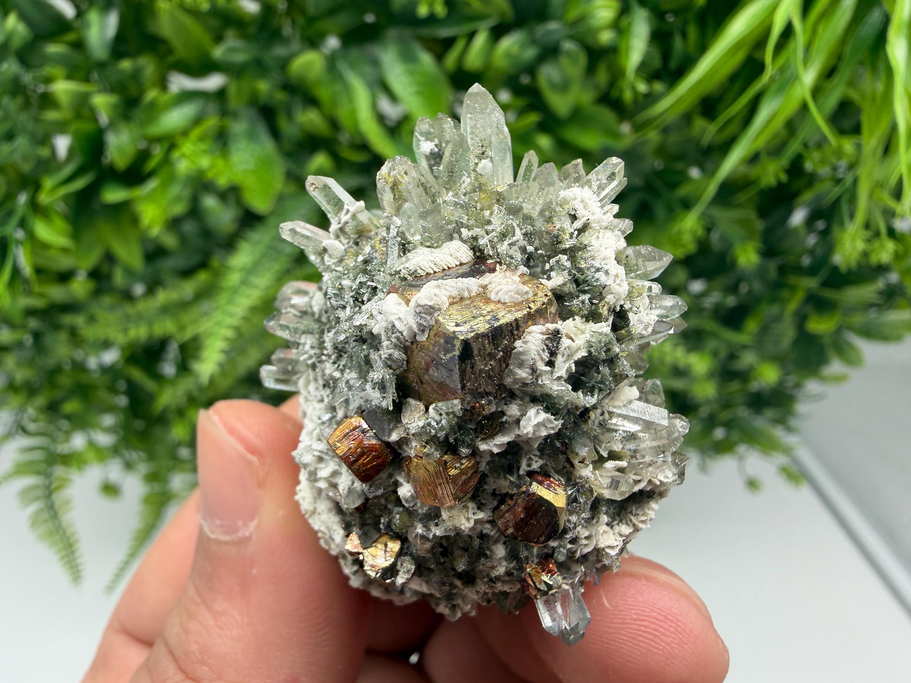 Pyrite Galena on Green Quartz, Chlorite Mineral Specimen, Bulgaria