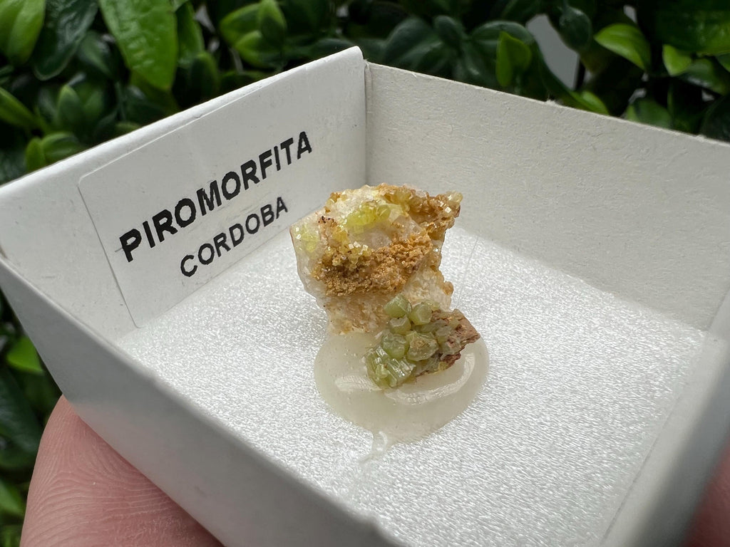 Pyromorphite Stone / Pyromorphite on Matrix / Pyromorphite Crystal / Raw Crystal / Pyromorphite Cluster / Rough Pyromorphite / Pyromorphite