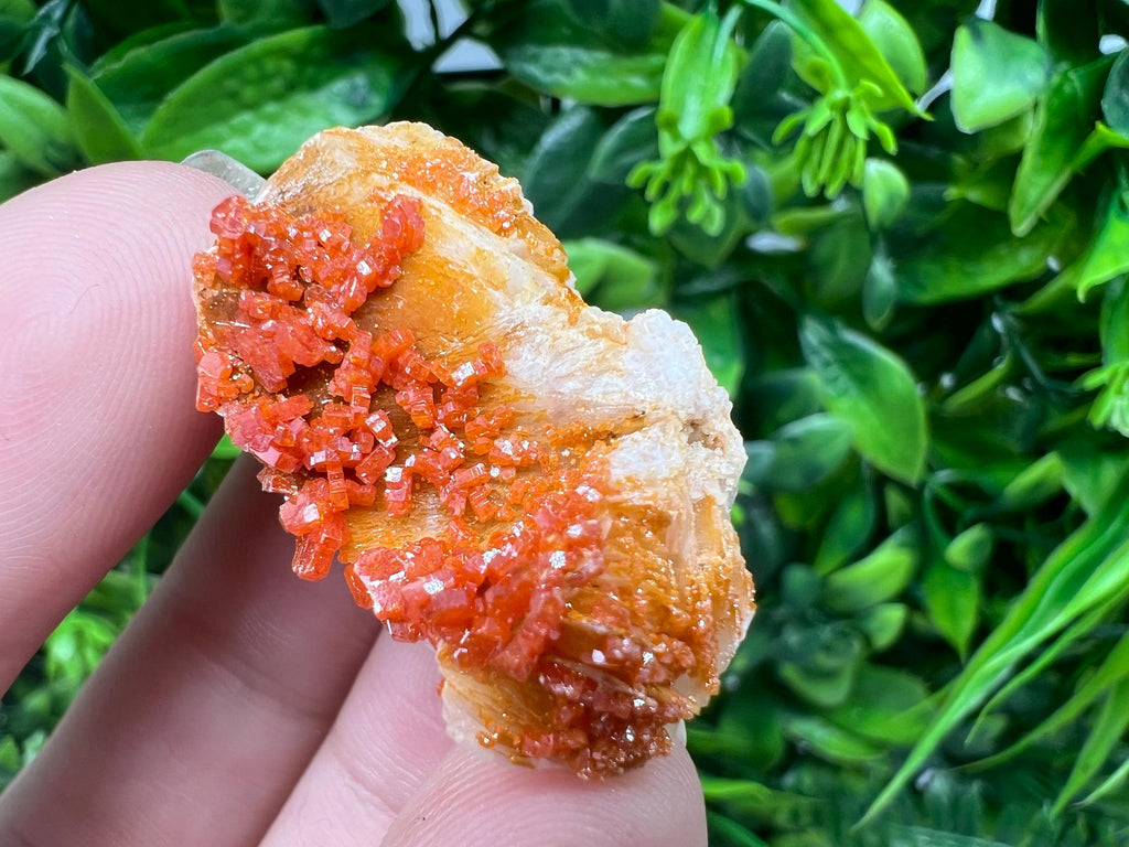 Red Vanadinite on Barite from Marocco,crystal minerals Speciment cluster Vanadinite crystal Vanadinite Geology Vanadinite cluster minerals