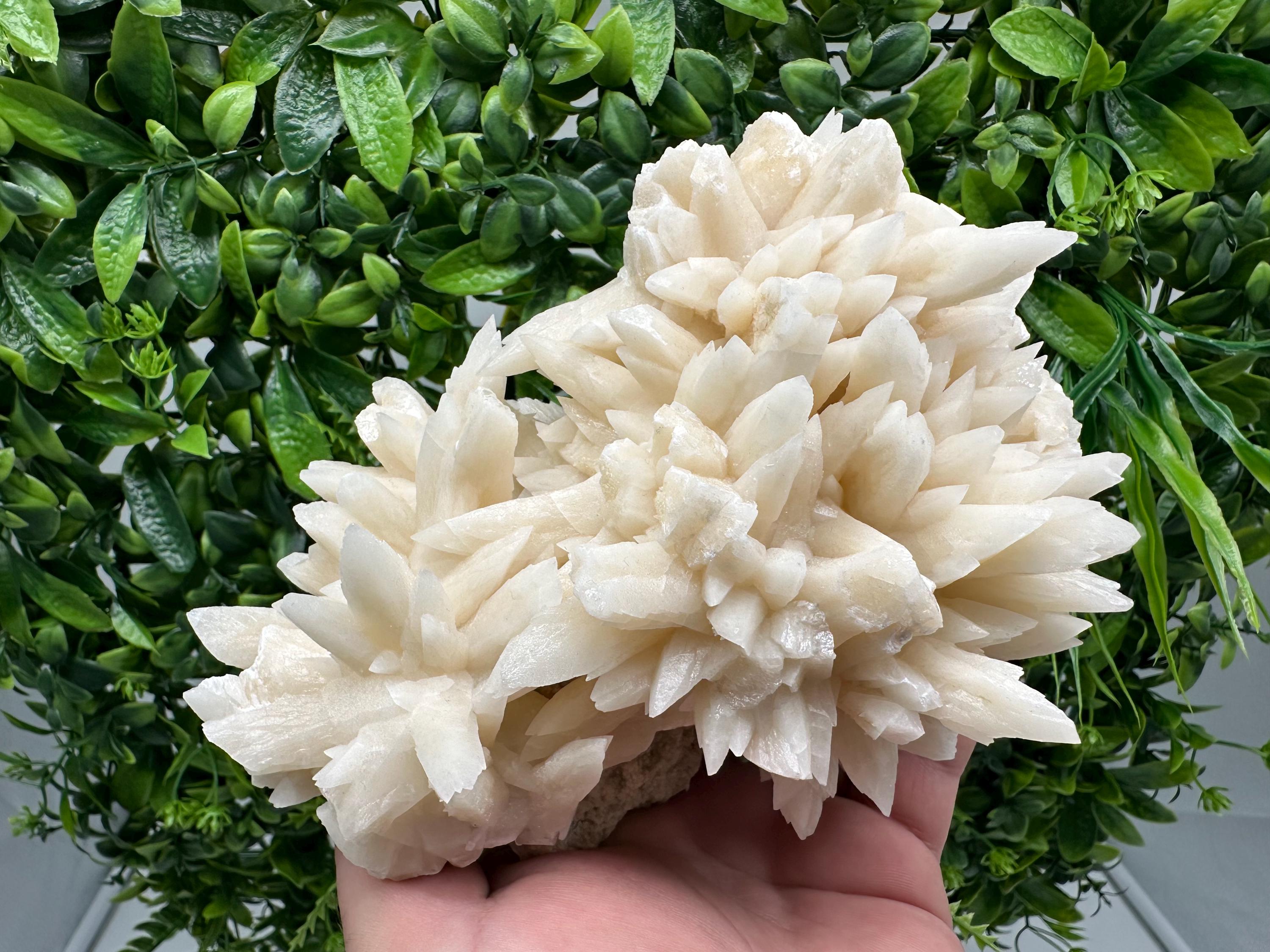 Calcite on Aragonite Crystal Cluster - Djurcovo Mine, Bulgaria