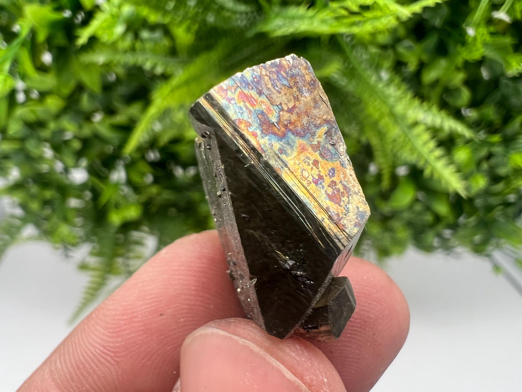 Mini Rare crystallisation Pyrite,Borieva mine,Bulgaria,floating Pyrite,golden Pyrite,Pyrite cluster,mini Collection specimen,Rainbow Pyrite