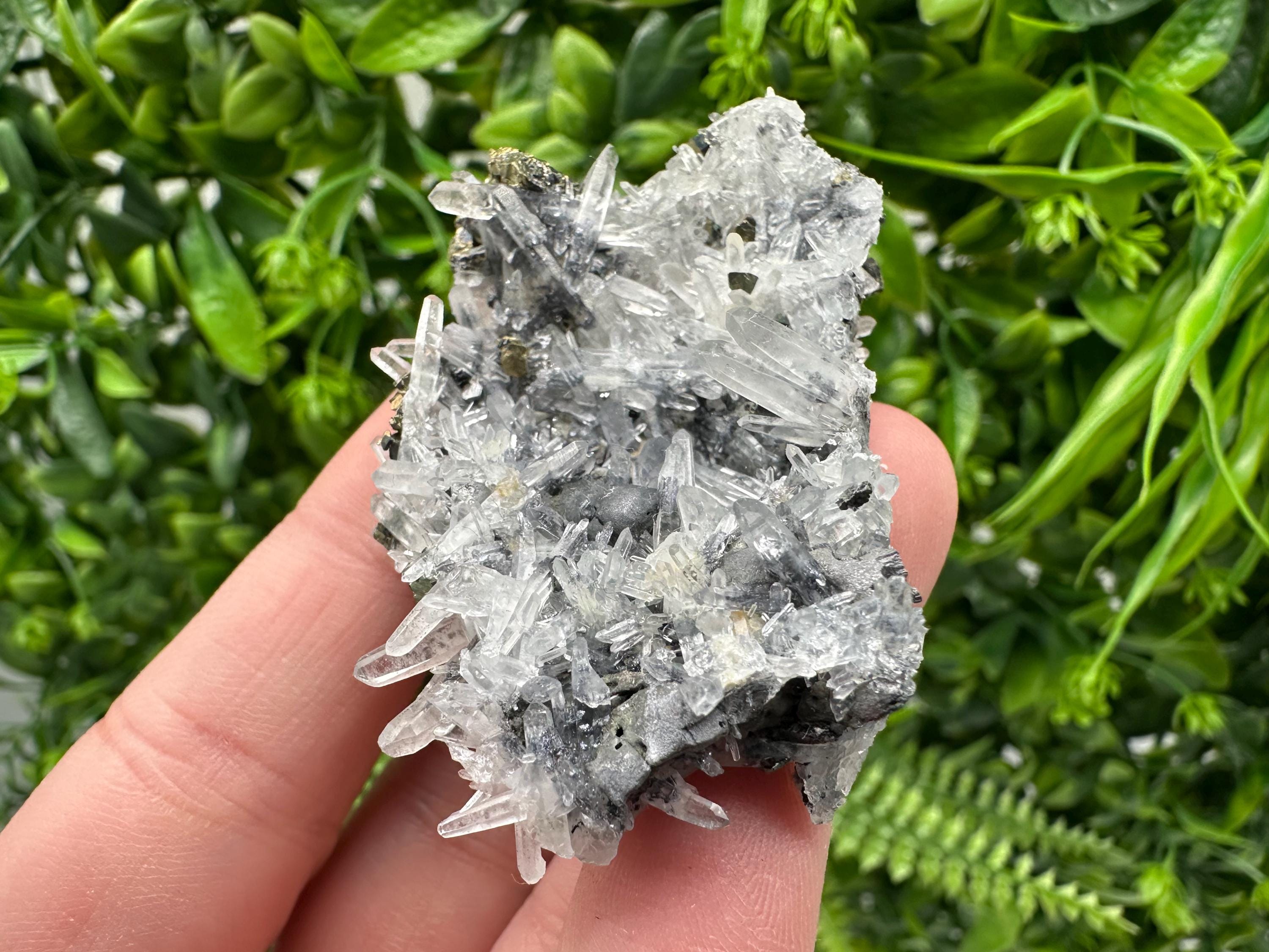 Wonderful Sphalerite Chalcopyrite on  Quartz whit Galena feom 9 th September mine,Bulgaria,natural,collection mineral specimen,gift