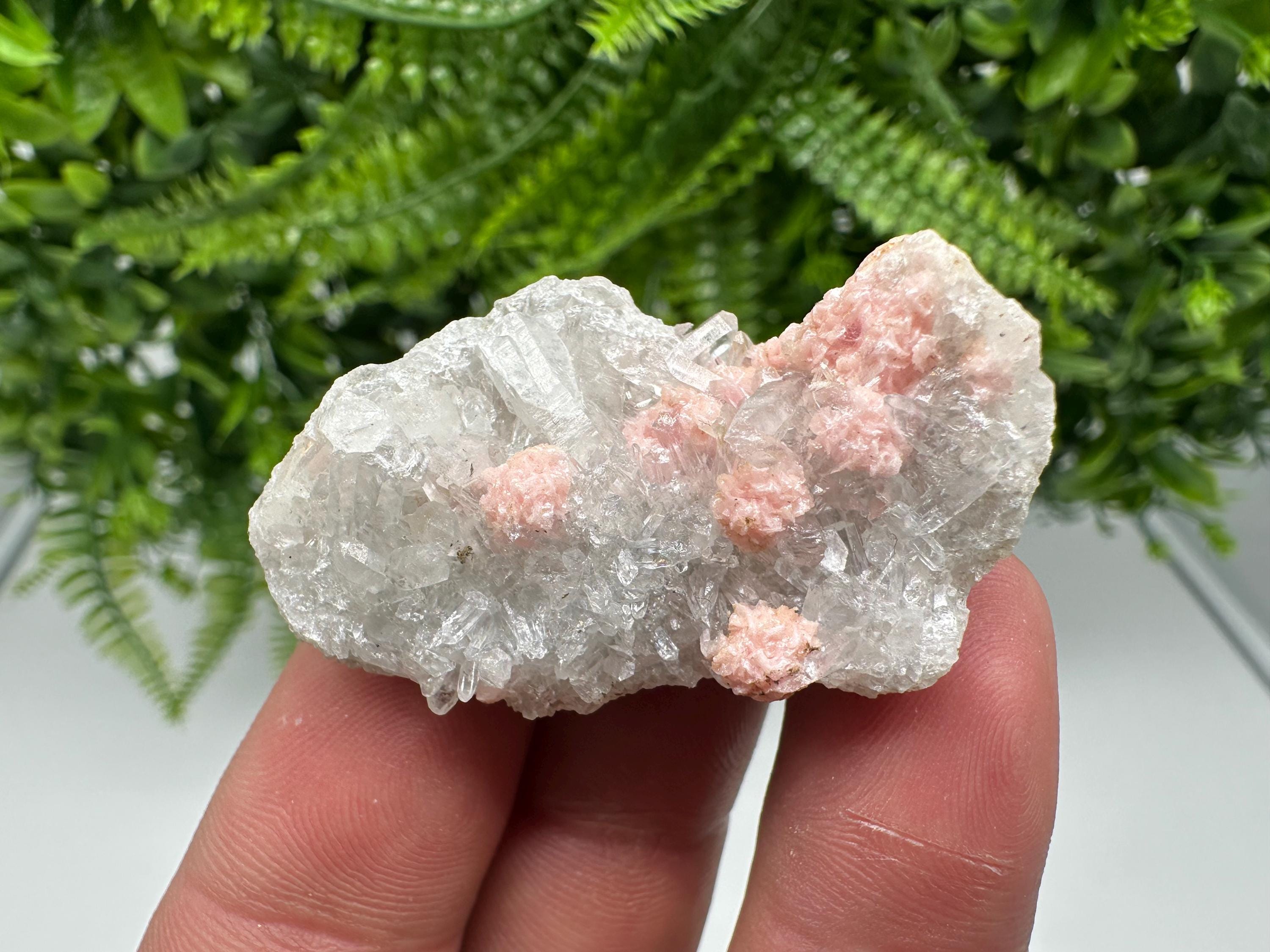 Rhodochrosite on Quartz: Pink Crystal Home Decor, Bulgaria Mineral Souvenir