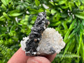 Sphalerite on Green Quartz, Borieva Mine Mineral Specimen