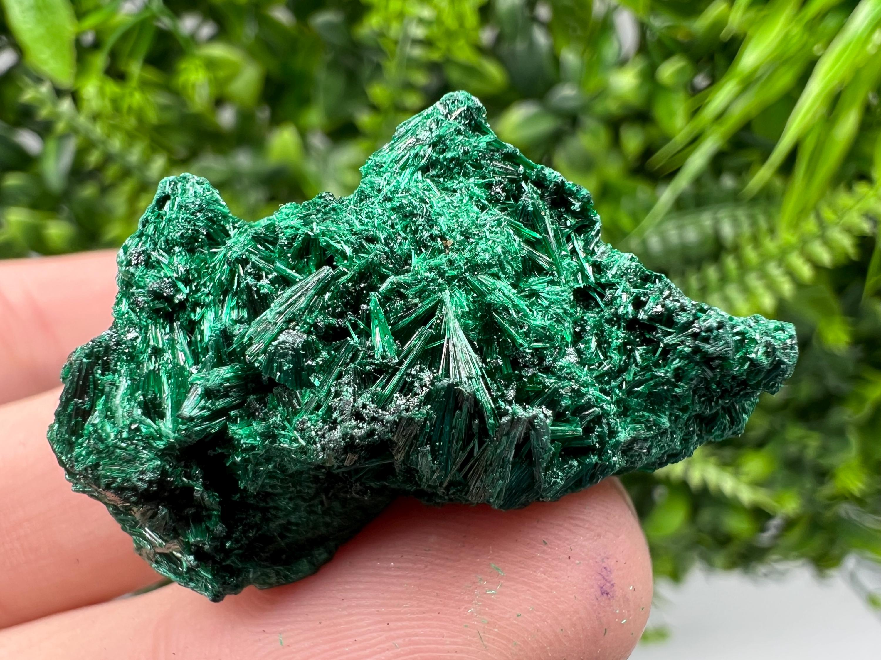 Malachite Crystal from Congo,Minerals,Crystals from Congo,Green Malachite, Malachite,Natural Malachite,Malachite Stone,Chakra, Specimens
