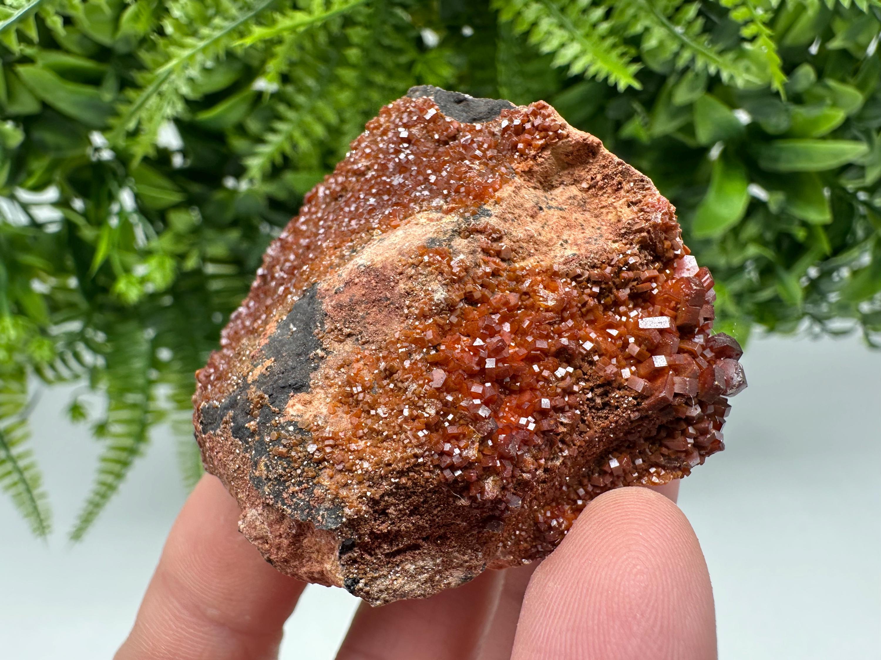 Red Vanadinite on Matrix from Marocco,crystal minerals Speciment cluster Vanadinite crystal Vanadinite Geology Vanadinite cluster minerals