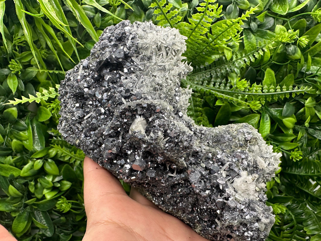 Galena on Sphalerite and Quartz: Borieva Mine, Bulgaria
