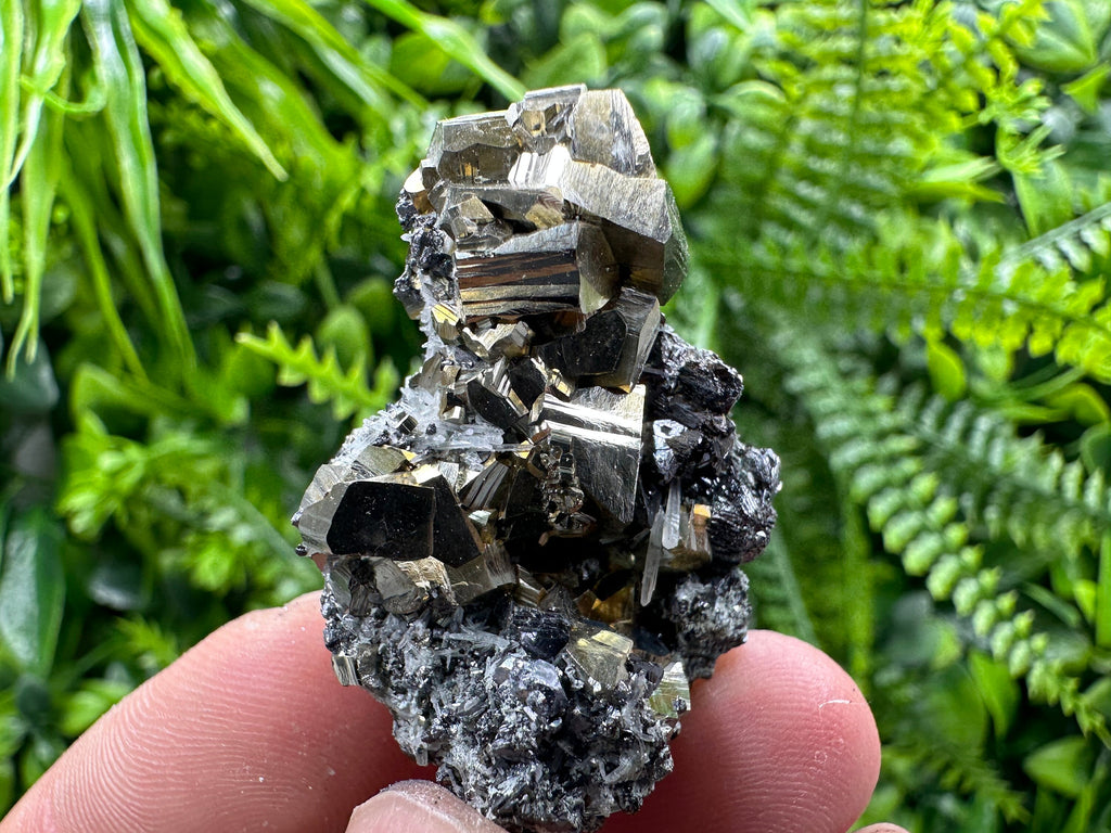 Pyrite Galena Sphalerite Quartz Mineral Specimen, Borieva Mine Bulgaria