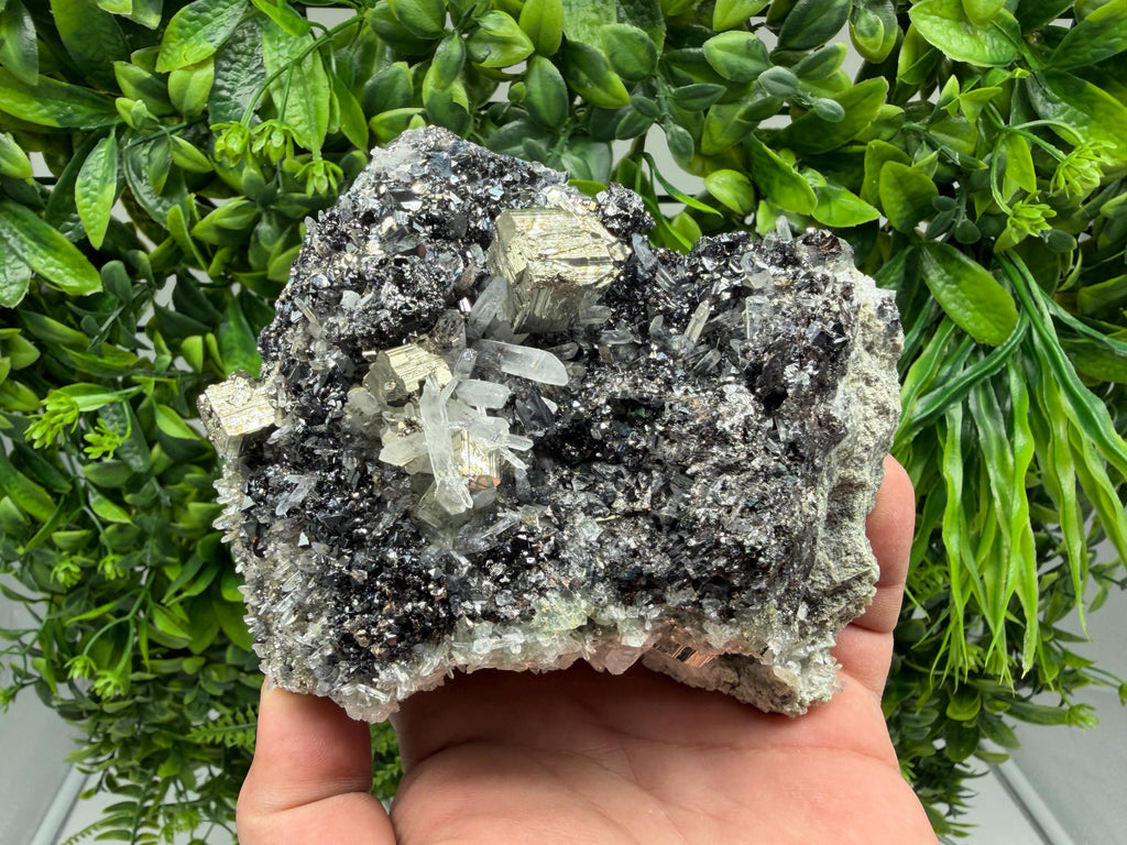 Pyrite Sphalerite Quartz  Mineral Specimen, Krushev dol Mine