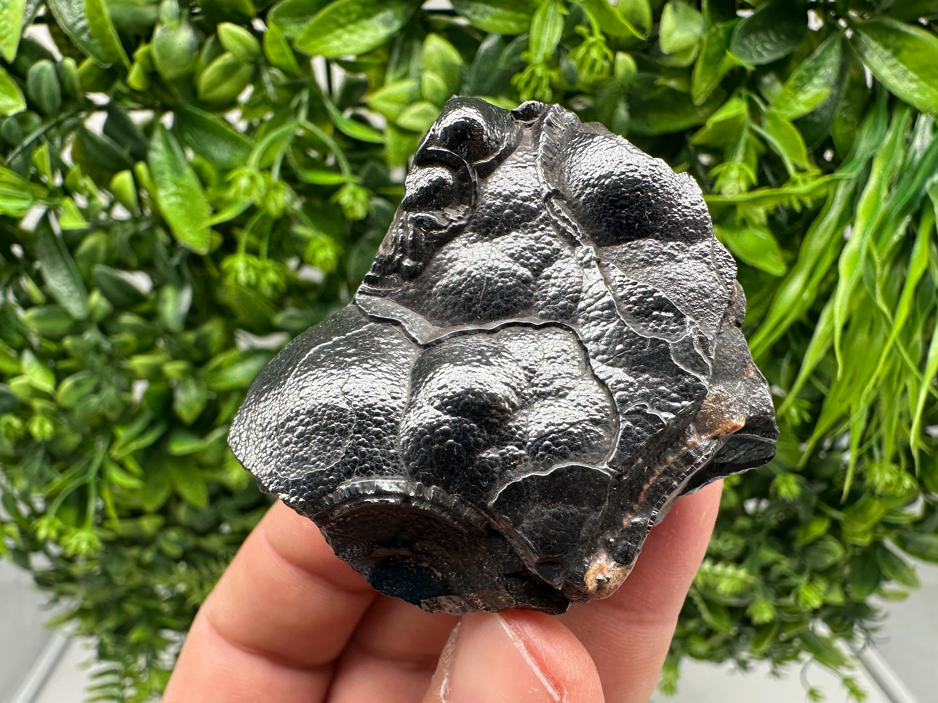 Botryoidal Black Hematite Specimen: Moroccan Crystal for Reiki Chakra