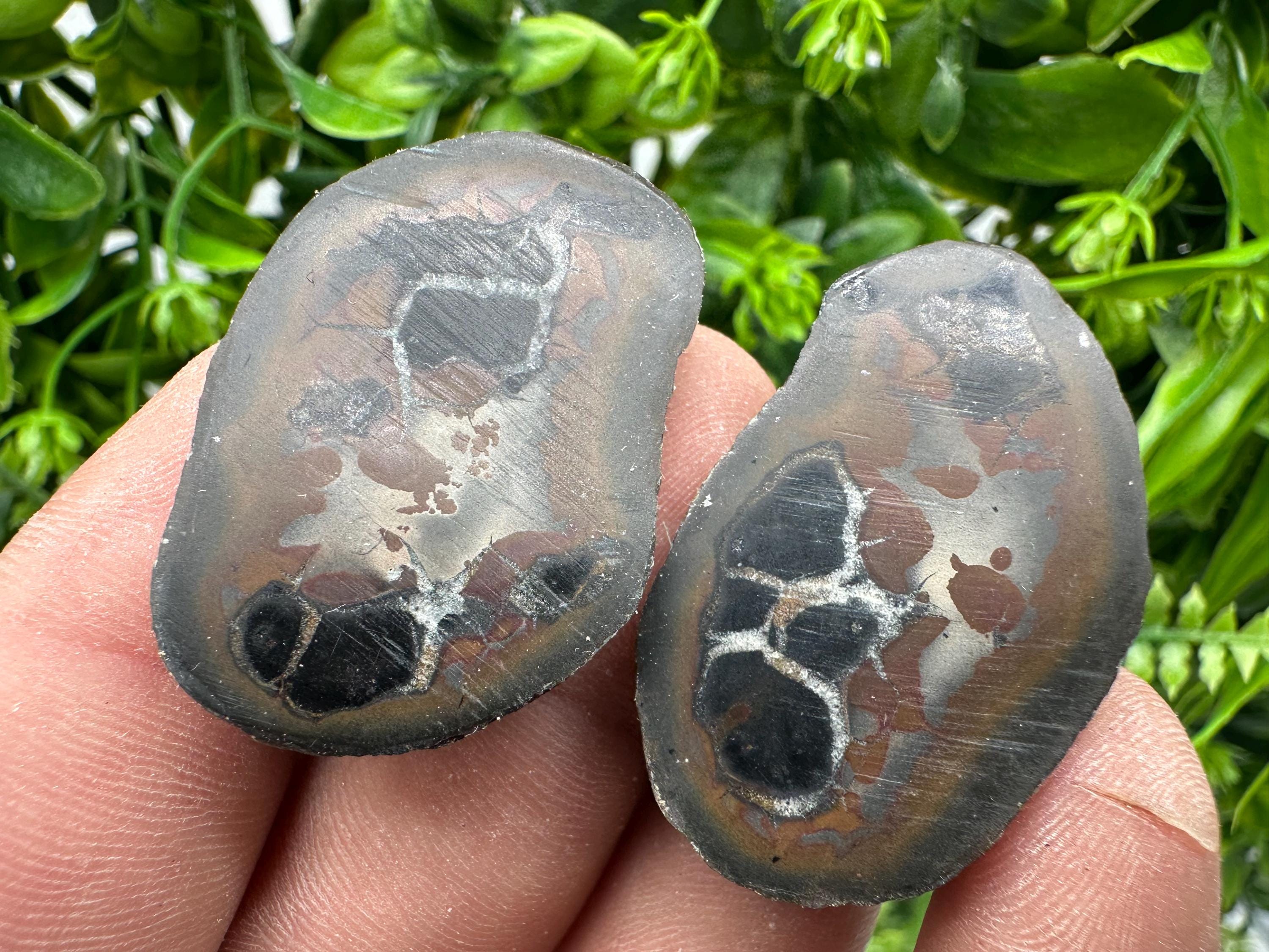 Septarian Nodule Geode Pair: Dragonstone Healing Stone