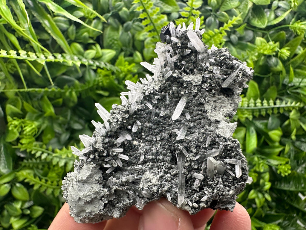 Quartz with Chlorite and Sphalerite, Borieva Mine Mineral Specimen