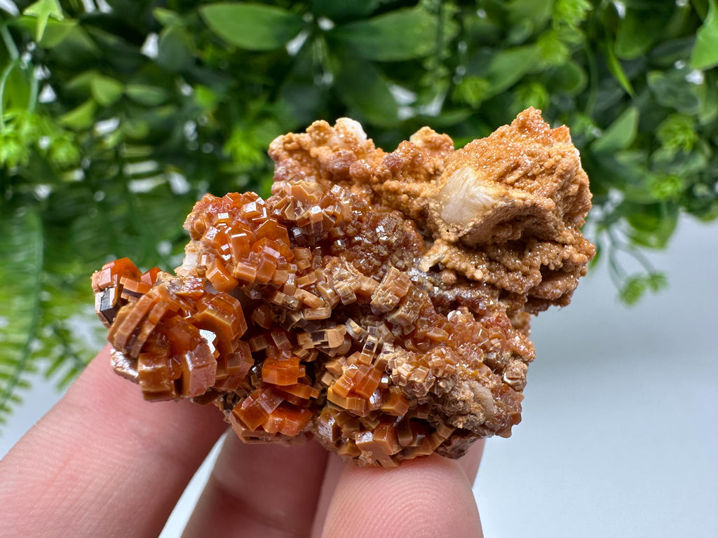 Red Vanadinite on Barite from Marocco,crystal minerals Speciment cluster Vanadinite crystal Vanadinite Geology Vanadinite cluster minerals
