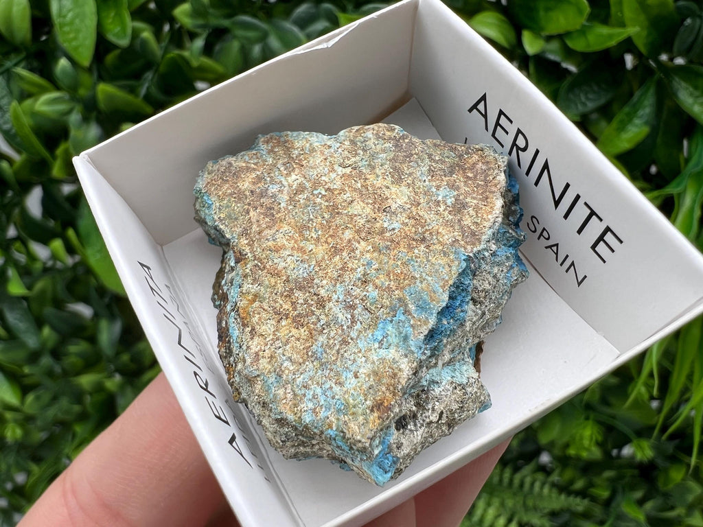 Rare Raw Aerinite Mineral Specimen: Collection Crystal from Lleida, Spain (3.5/3.5 CM)
