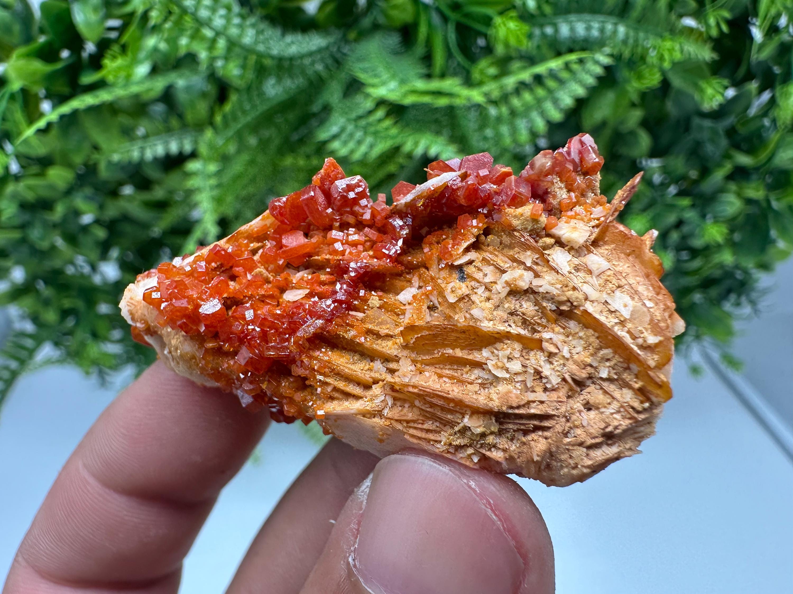 Red Vanadinite on Barite, Morocco Crystal Cluster