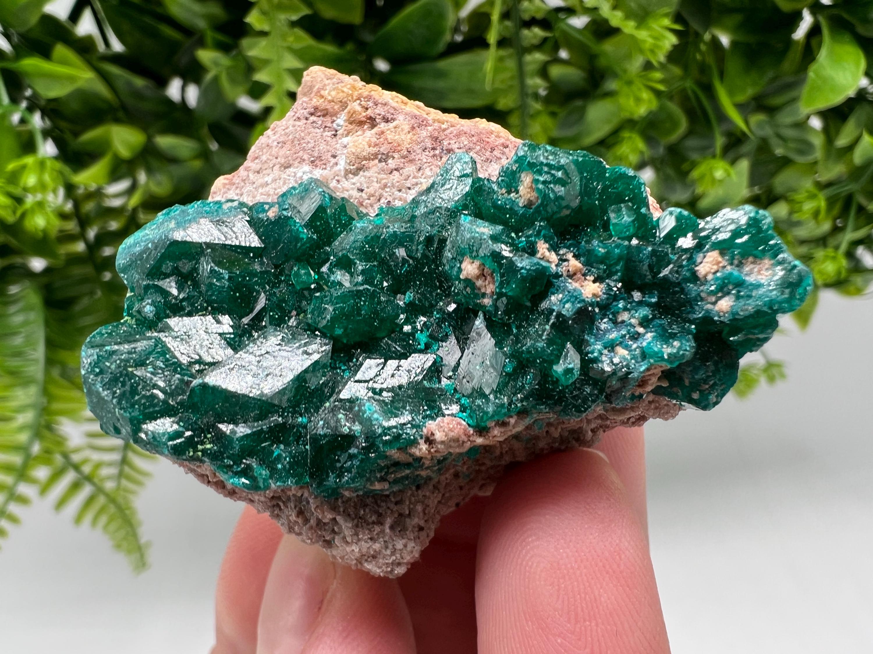 Stunning Green Dioptase from Sanda Hills,Mindouli,Pool Department,Mindouli District,Congo,green Dioptase,Dioptas Crystal,Dioptase collecting
